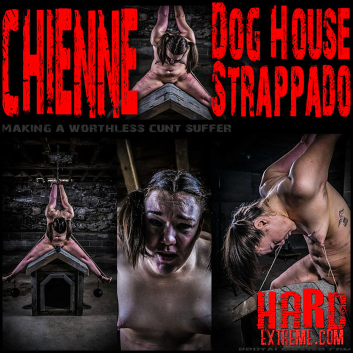 Chienne Brutalized On The Dog House – Brutalmaster – The newest cunt of HELL!